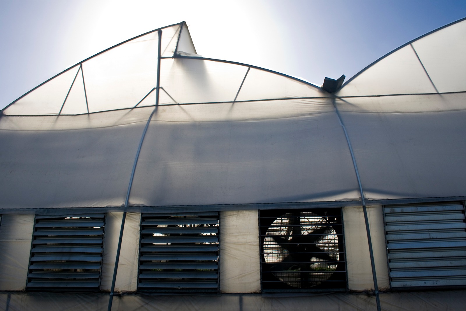 Greenhouse Project 14